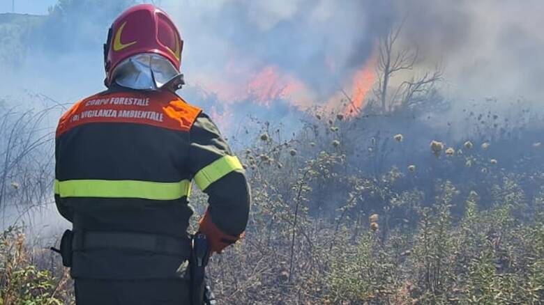 Incendio - Corpo forestale - fuoco