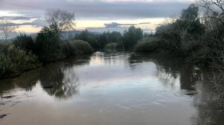 Il fiume Tirso a Su Ponte ‘e Ferru, a Solarussa - Foto Mario Tendas