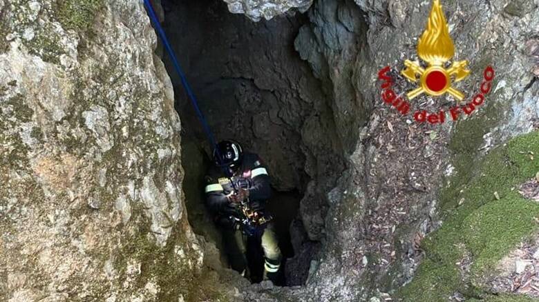 salvataggio cane vigili del fuoco