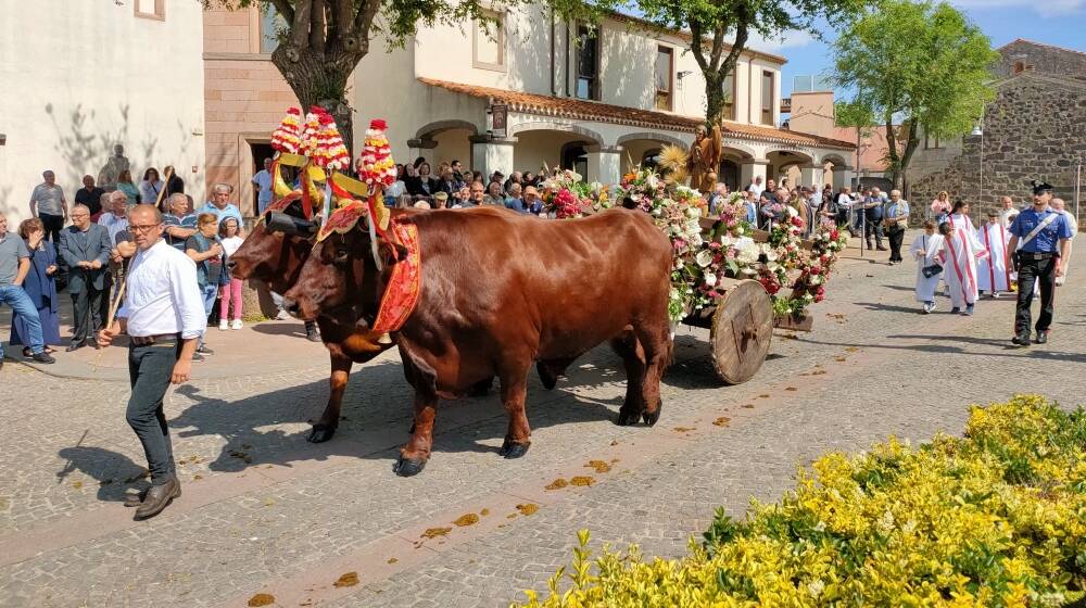 A Sedilo la festa di Sant'isidoro con la prima uscita delle "pandelas" 