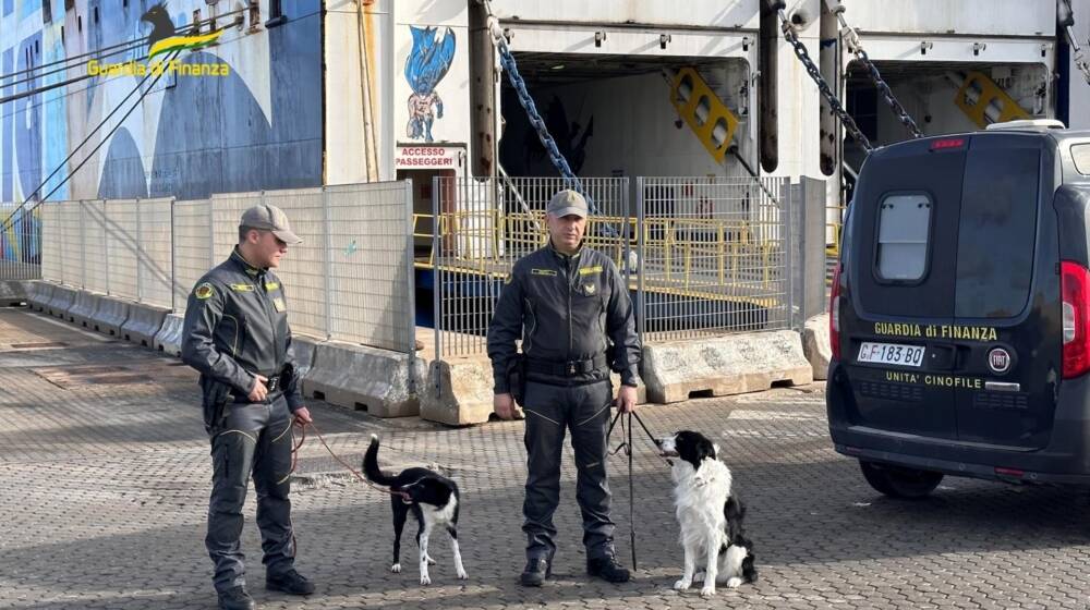 Droga sequestrata porto torres - guardia di finanza cani