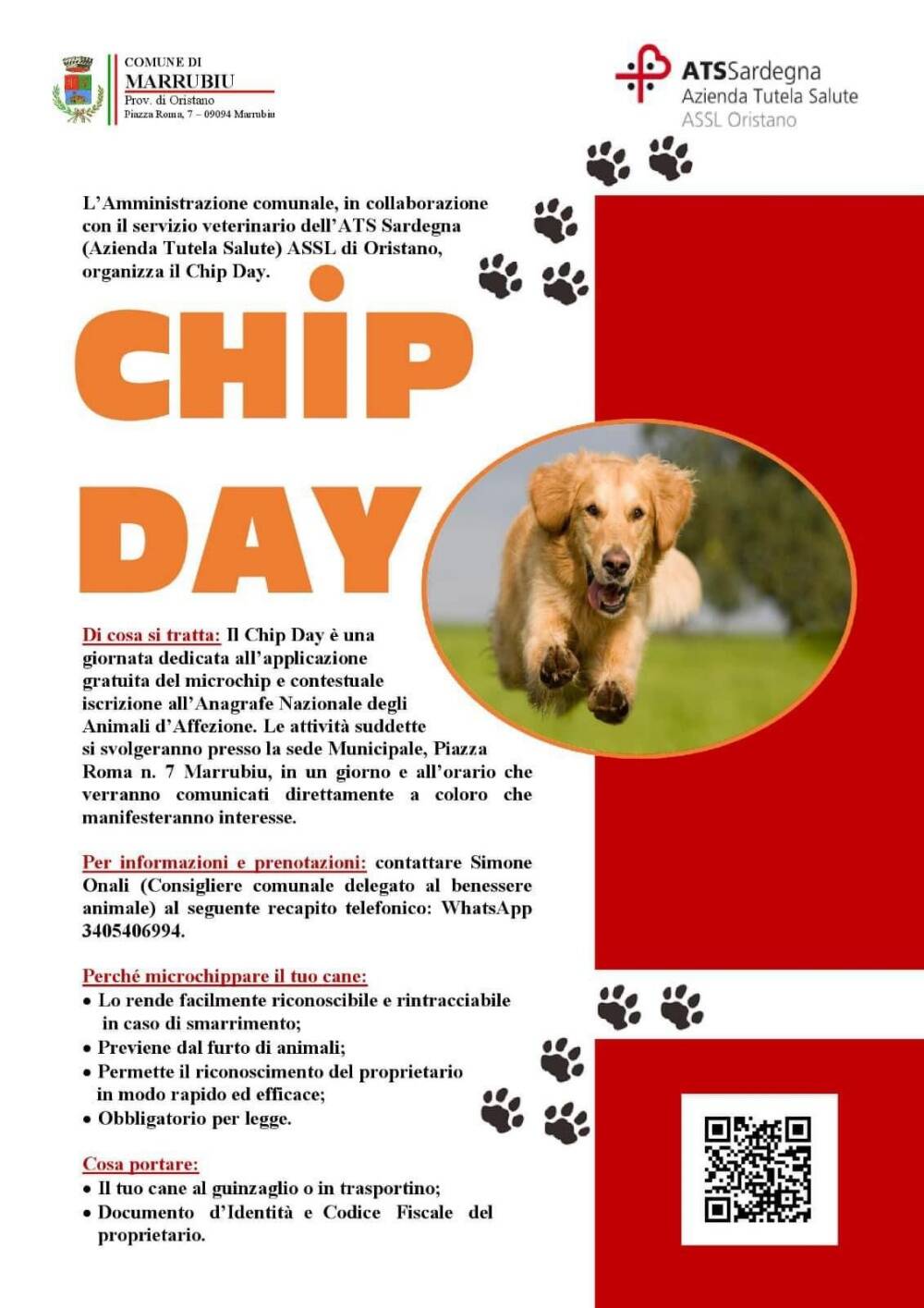 Locandina Chip Day