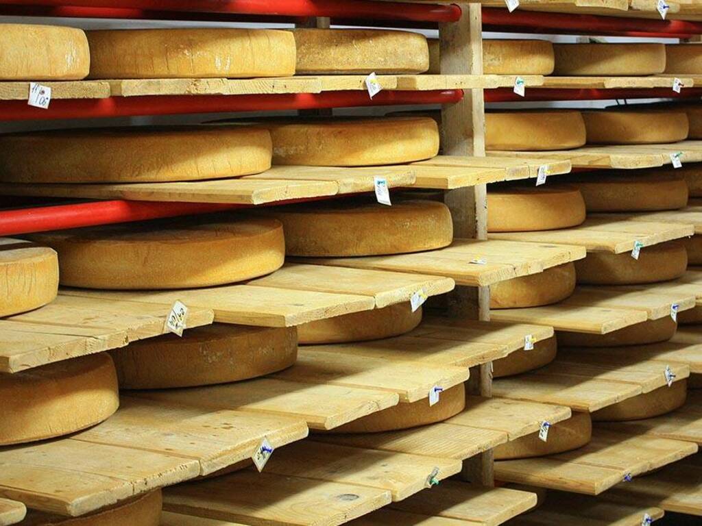 La stagionatura dei formaggi