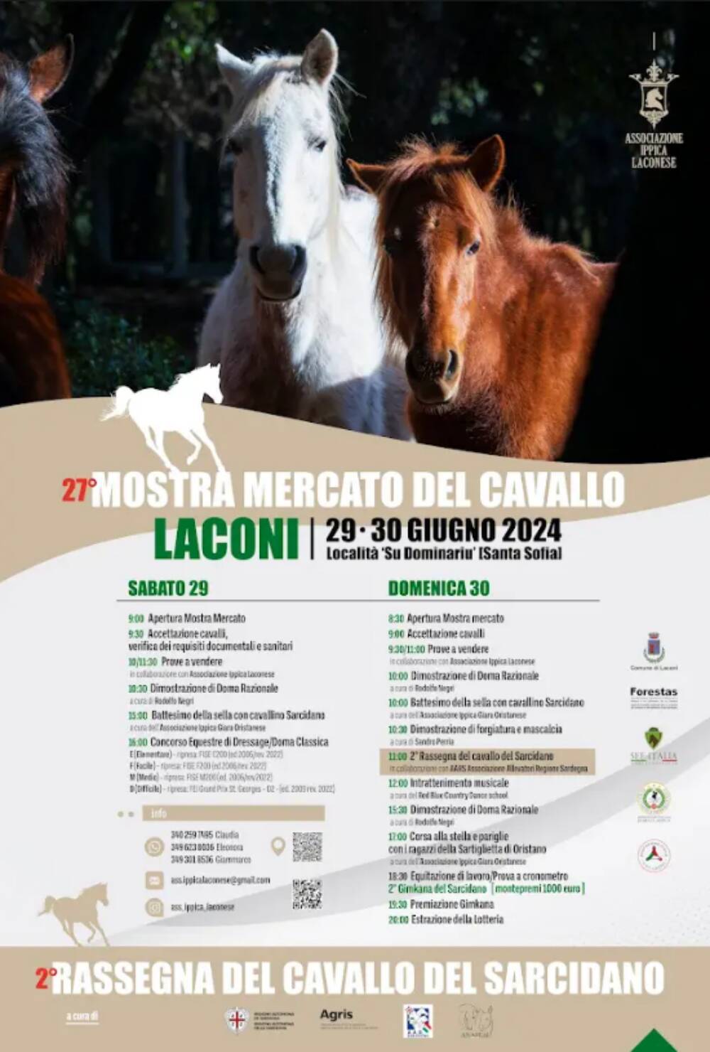 Mostra cavallo Laconi 2024 