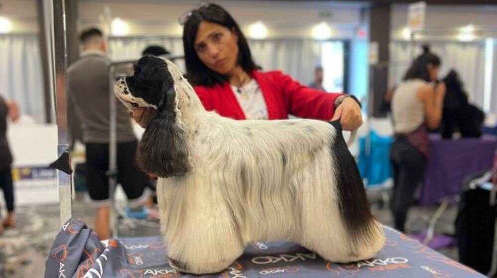 Valeria Pilloni e la sua cagnolina - concorso toelettatura