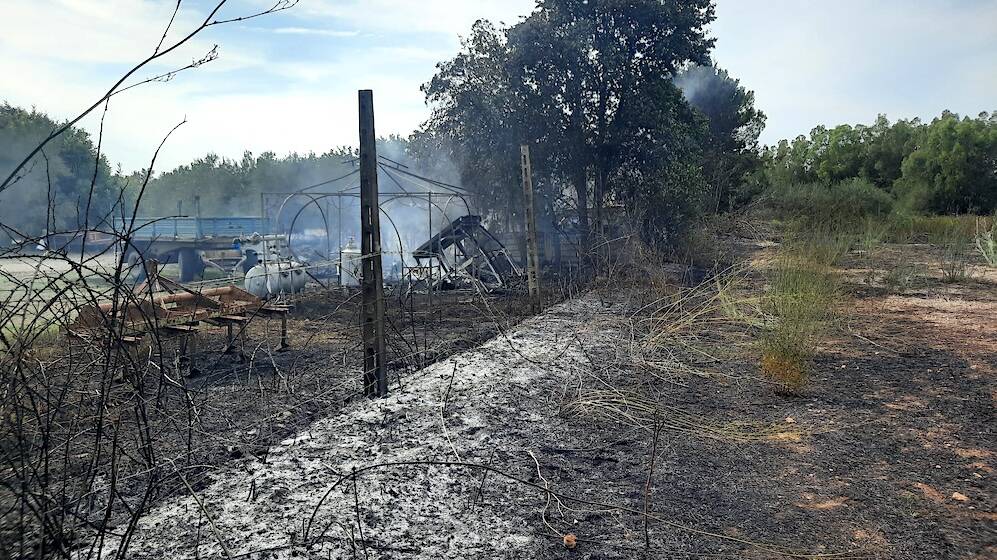 zeddiani incendio azienda agricola