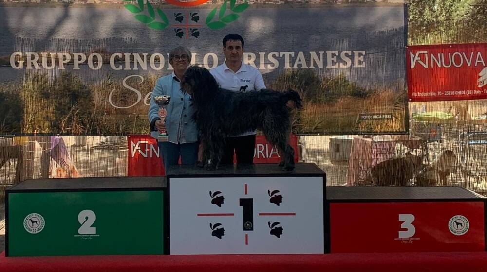 A Santa Giusta i cani più belli con l’esposizione internazionale della Sardegna