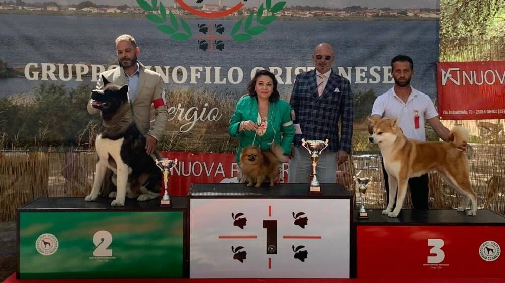 A Santa Giusta i cani più belli con l’esposizione internazionale della Sardegna