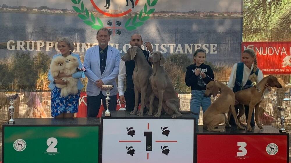 A Santa Giusta i cani più belli con l’esposizione internazionale della Sardegna