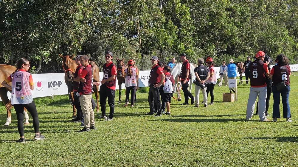 Visite mediche cavalli Sardegna Endurance Festival