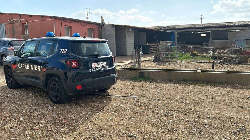 I carabinieri intervenuti stamane nelle campagne di San Gavino